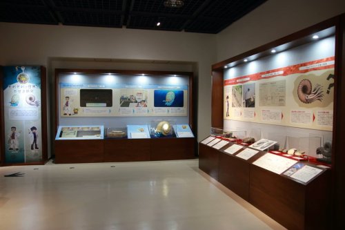 Images From The Pokemon Fossil Exhibit.