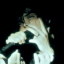 somvchstardvst