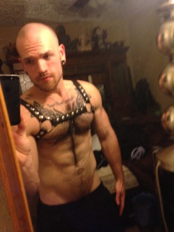 Hairy chest, pierced nipples, leather harness..