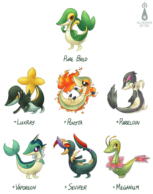 fallenzephyrart:  I’ve been seeing a lot of Pokemon variations (or crossbreeds?) floating around and that inspired me to draw my own!Here’s some Snivy variations c:[ Patreon ]