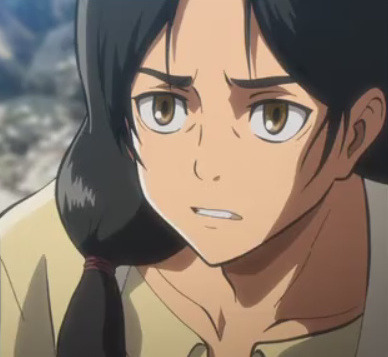 pokemonmasterkimba:  while looking at this gif set I realized  Eren looks  just like his mom  even has the same rage face. 