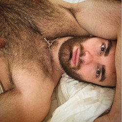 ty3141:Want to see more. Totally hot hairy