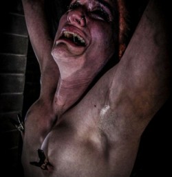 nakedsweatandchains:Kathy 36 a former lawyer accused of stealing money cries out once more as her tender nipples are clamped. In her third week of interrogation the filthy sweat soak prisoner is chained naked in a dirt floored cell for daily 16 hour days