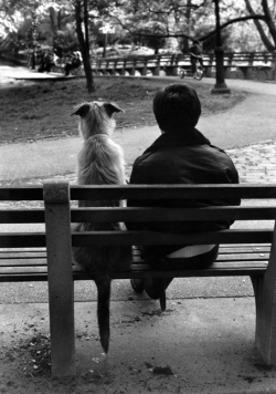 adreciclarte:  Elliott Erwitt - New York City, 1977 