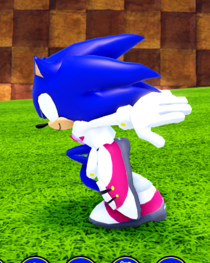 Valentine's Sonic; Sonic Speed Simulator