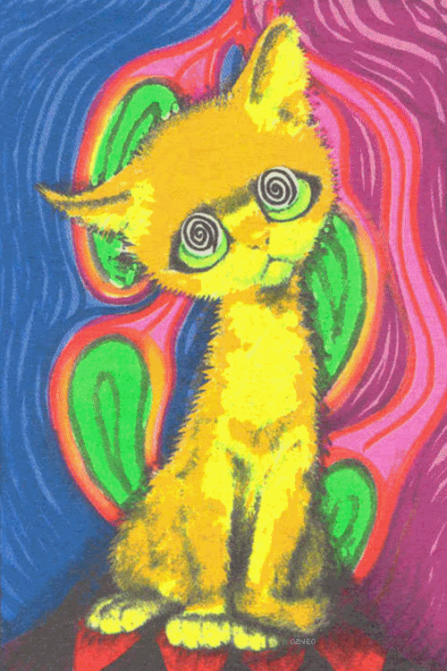 click if you're high