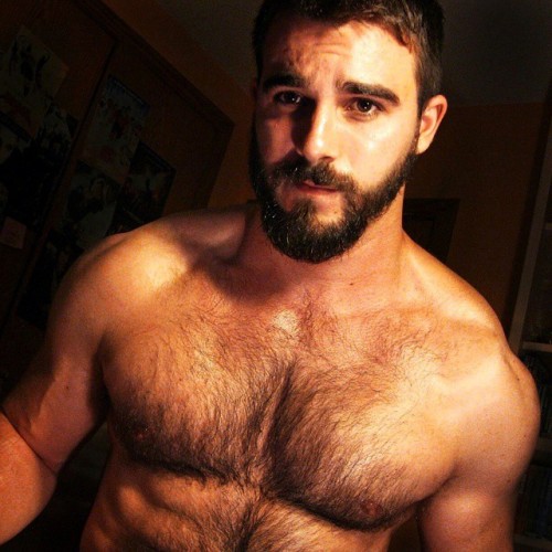 hairy-chests: