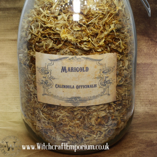  Marigold (Calendula) ⭐⛥⭐⭐⛥⭐⭐⛥⭐⭐⛥⭐Find this and more of our exquisite products in our shop:https://w