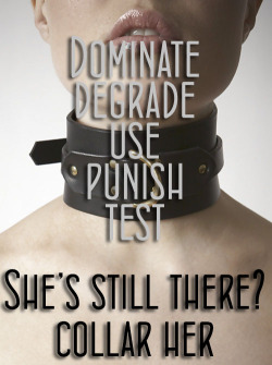 feenazty:  Or don’t.  Not all whores deserve collars
