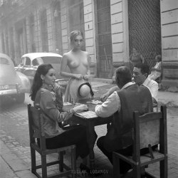 lovemenageries:© ruslan lobanov