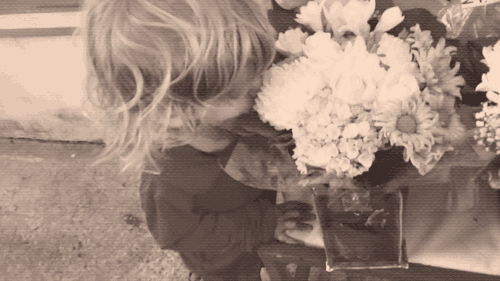 katyissuperwholocked:  priestlyshasmoved: i dare you to find a cuter kid  I feel like Misha deliberately had the most adorable kid imaginable just to troll us 
