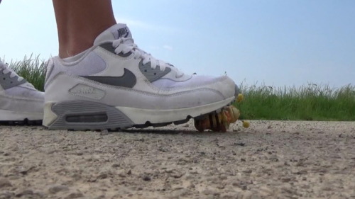 no-tribute-germany - Trampling und Crushing
