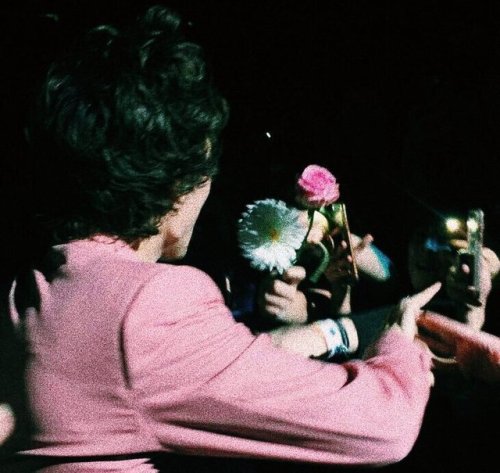 dezzertgurl:Harry Styles with flowers appreciation pictures. You’re welcome.