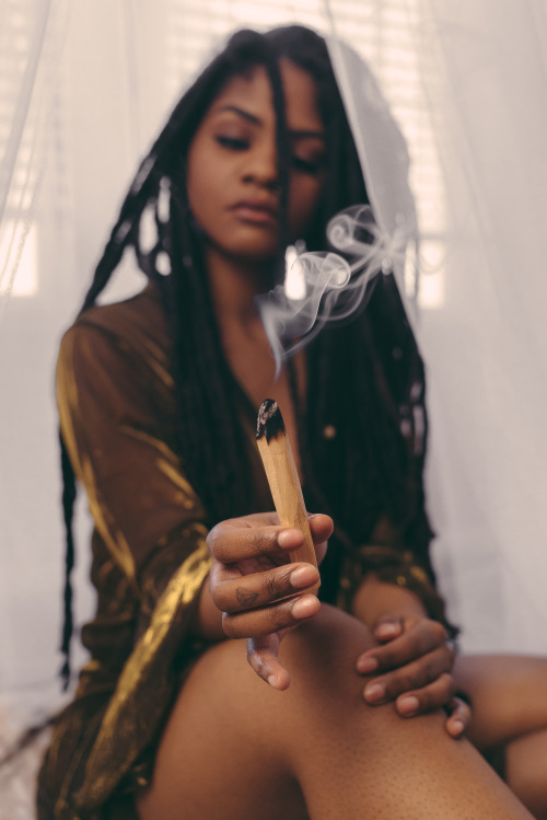 luciousfox247 - LuciousFox247