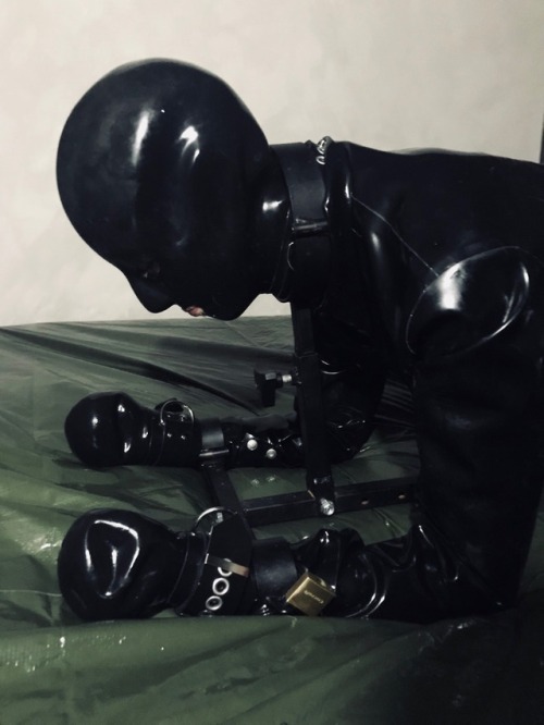 nordicrubberalpha:  #smackable #thatAss #slave #rubbercunt #rubber #gay #metalbondage #fuckrack