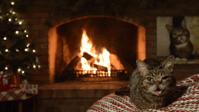 bublog: Aw yeah, BUB’s new Magical Yule Log Video is up, HERE.  Pop it onto your widescreen and POOF