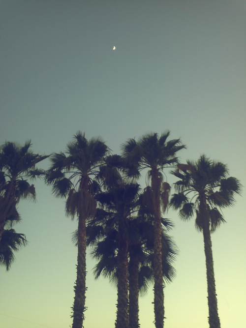𝐾𝑒́𝑙𝑖𝑠ℎ𝑖 ☼