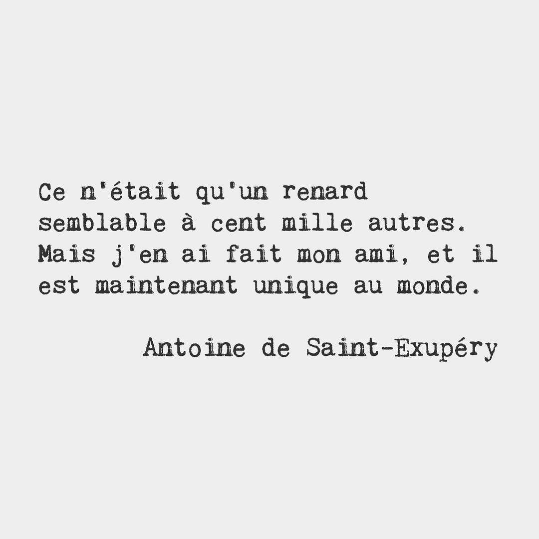 French Words — He was only a fox like a hundred thousand other...