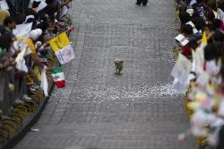 “Holy shit, I AM a good boy!”