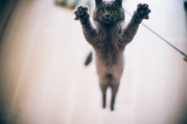 cantess:  Big Hug by min’ on Flickr.