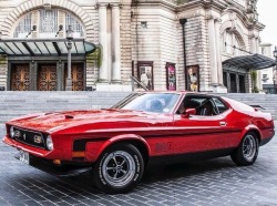 musclecars4ever