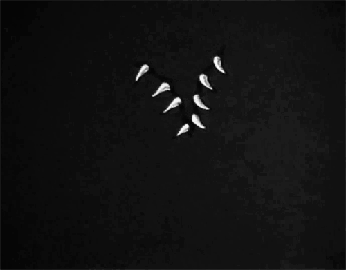 What is normal for the spider,is chaos for the fly