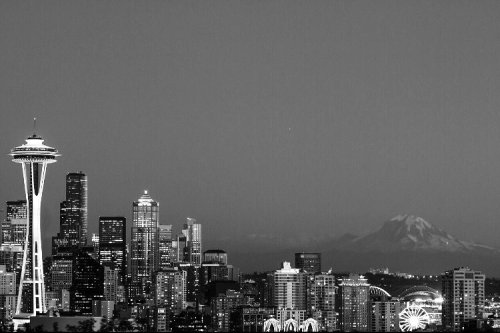 rhapsodybrohemian:  14/366  #project365 #pnw #photographer #seattle #kerrypark #mtrainier #spaceneedle