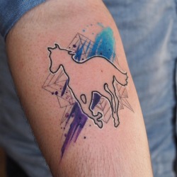 DEFTONES WHITE PONY INK