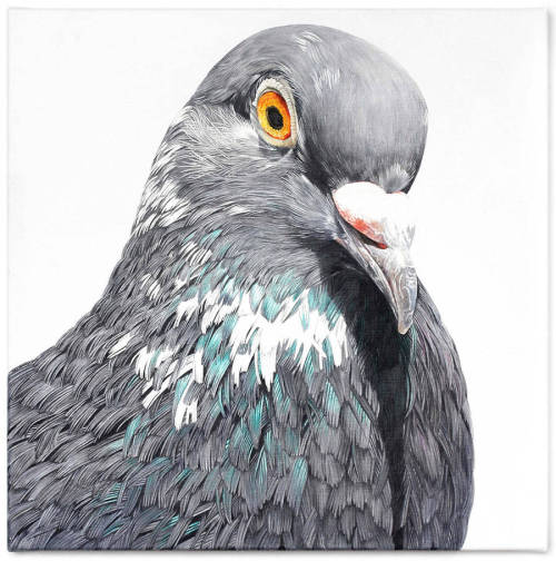 fat-birds:  npr:  culturenlifestyle:  Adele Renault Paints Incredibly Realistic Pigeon Portraits Adele Renault is an artist focused on painting stunning realistic portraits of pigeons and humans on giant murals and small canvases. This series features