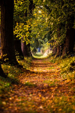  plasmatics: “The Way” ~ By Funky