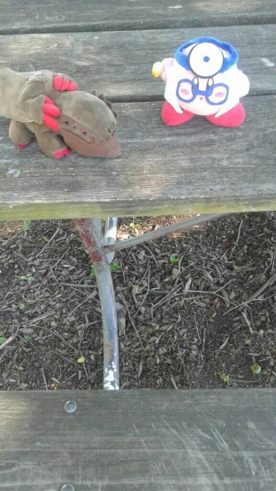 Dr. Kirby MD And Edgelord The Gore Magalas Trip To The Sculpture Art Garden In Saint Louis