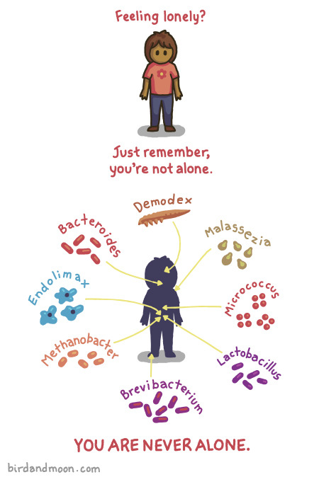 Cause We Are Living In A Bacterial World, And I Am A Bacterial Girl.