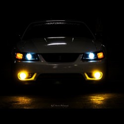 detroitisonfire:  On the 1st day of Christmas I wish my parents got me, a 2003 cobra mustang terminator supercharged …and a Partridge in a Pear Tree! #mustang #christmas #ford #cobra