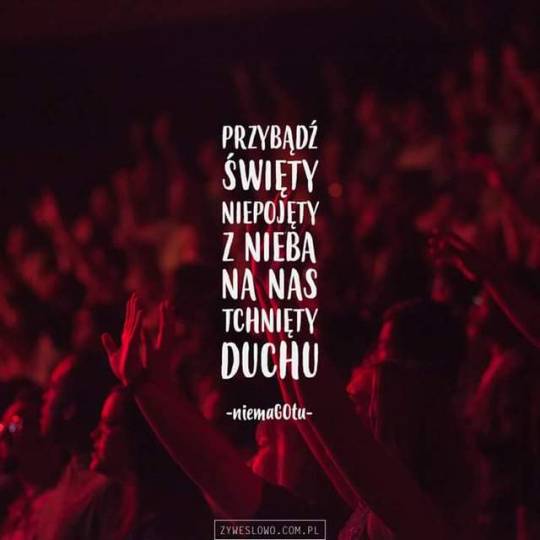 #Święto on Tumblr