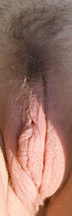 sette1sette:  Reidor Loreen - Agreeable…  (Expl)  Visit my new blog “setteasette” and clicking on th