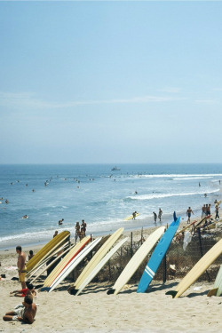 highenoughtoseethesea: Malibu Lineup, 1967Photo: