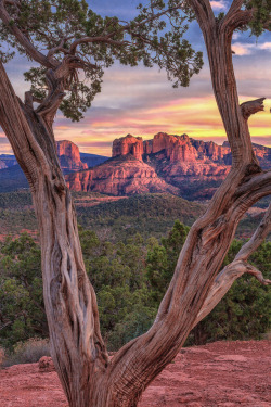 davecurry8:  Sedona Sunset