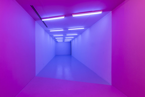 mentaltimetraveller:Kapwani Kiwanga: pink-blue. Installation view: The Power Plant, Toronto, 2017. C