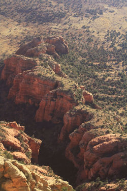 predictablytypical:  Sedona desert oasis