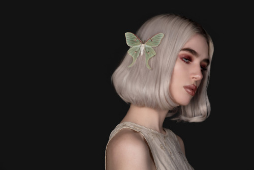 teapalm - LEPIDOPTERAModel - Isabelle Kearl©tasha marie