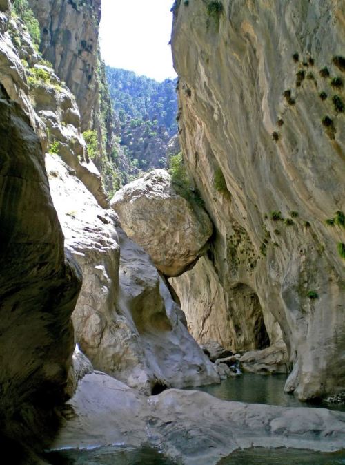 Goynuk Canyon, Antalya / Turkey (by daniademirci).