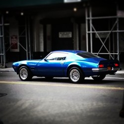 Eat.Sleep.Breathe.Cars