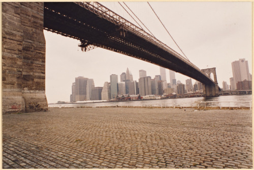 Empire-Fulton Ferry State Park- Bill Barvin