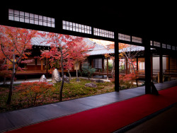 sengokudaimyo:  the red and the black (Kennin-ji temple, Kyoto) (von Marser) 