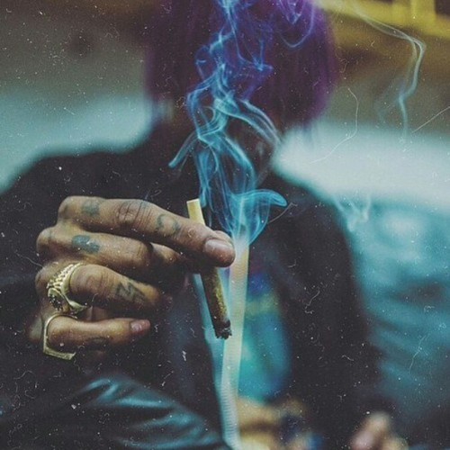 Weed Bible