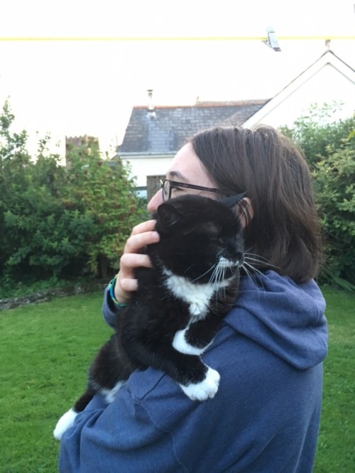 matissethecatto: he’s named claude  submitd by @algys-foodbringer  oh my…what an CHONKE