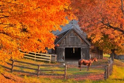 thespookshaveamidnightjamboree:Happy first day of Autumn!!! It’s FINALLY here! Good riddance Summer! 🍂🍁🍂🍁