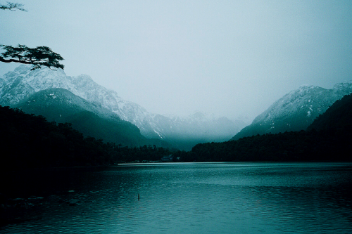 XXX winterfellis:  (by diego trip)  photo