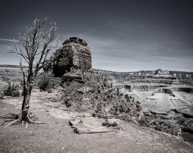 For Black and White Monday were visiting the South Rim of the Grand Canyon and one of the many cool landscapes down in the canyon. This is about a mile down the South Kaibab Trail near Cedar Ridge. @grandcanyonnps #blackandwhitemonday #grandcanyonnationalpark #grandcanyon  (at Grand Canyon National Park) https://www.instagram.com/p/CXI3pckFp8t/?utm_medium=tumblr #blackandwhitemonday#grandcanyonnationalpark#grandcanyon