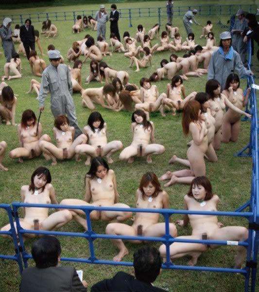 deliciae-delectae:  The new laws quickly spread all over the developed world. 